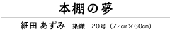 本棚の夢　細田 あずみ　染織　20号（72㎝×60㎝）