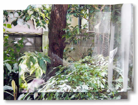 作品タイトル a window