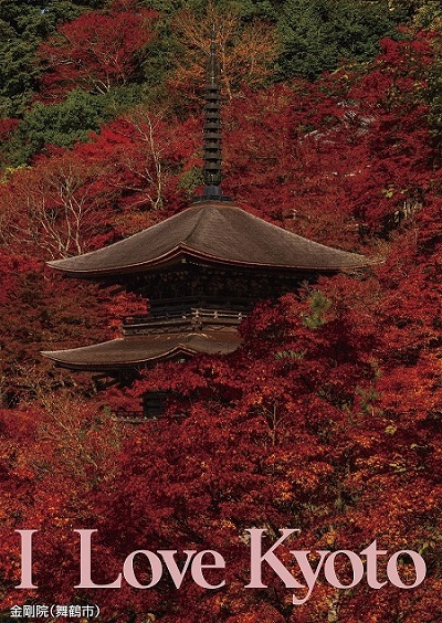 金剛院（舞鶴市）