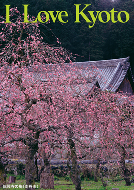 3.龍興寺の梅（南丹市）