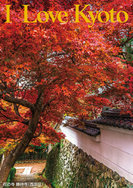 花の寺 勝持寺（西京区）