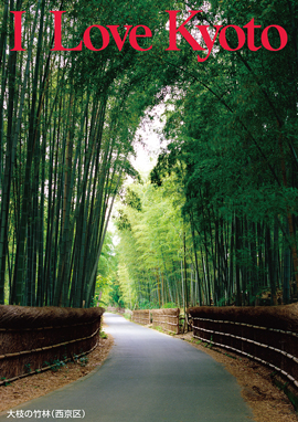 大枝の竹林（西京区）