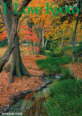 秋の糺の森（左京区）