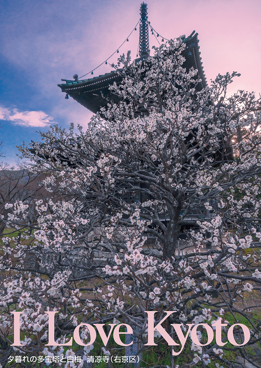 I Love Kyoto イメージ