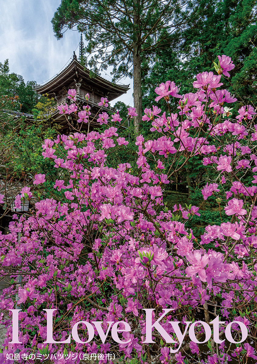 I Love Kyoto イメージ