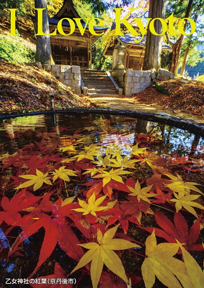 乙女神社の紅葉（京丹後市）