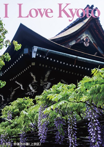 大本山 妙蓮寺の藤