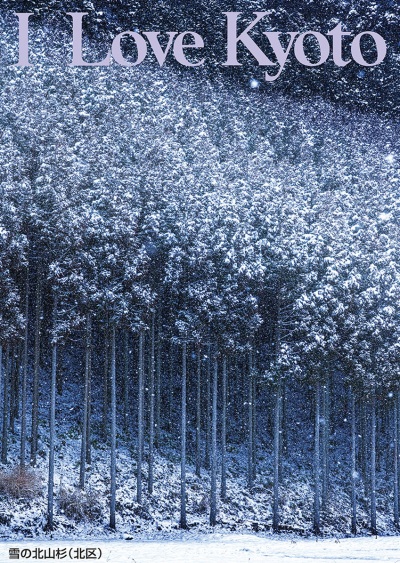 雪の北山杉（北区）