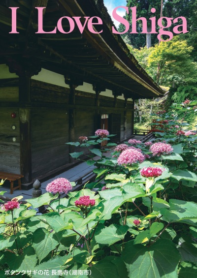 ボタンクサギの花 長壽寺（湖南市）