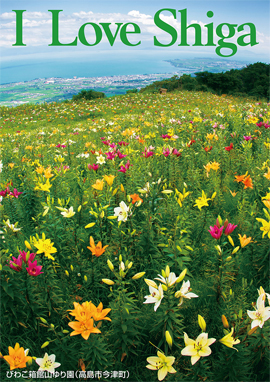 びわこ箱館山ゆり園（高島市今津町） 