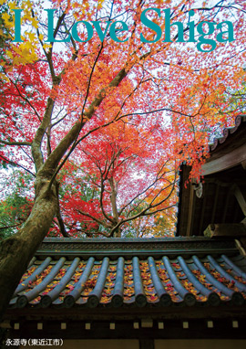 永源寺（東近江市）