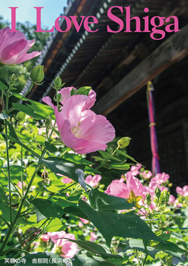 芙蓉の寺 舎那院（長浜市）