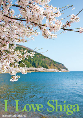 海津大崎の桜（高島市） 