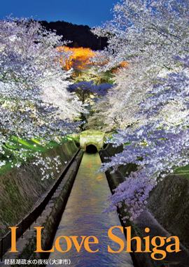 琵琶湖疏水の夜桜（大津市） 