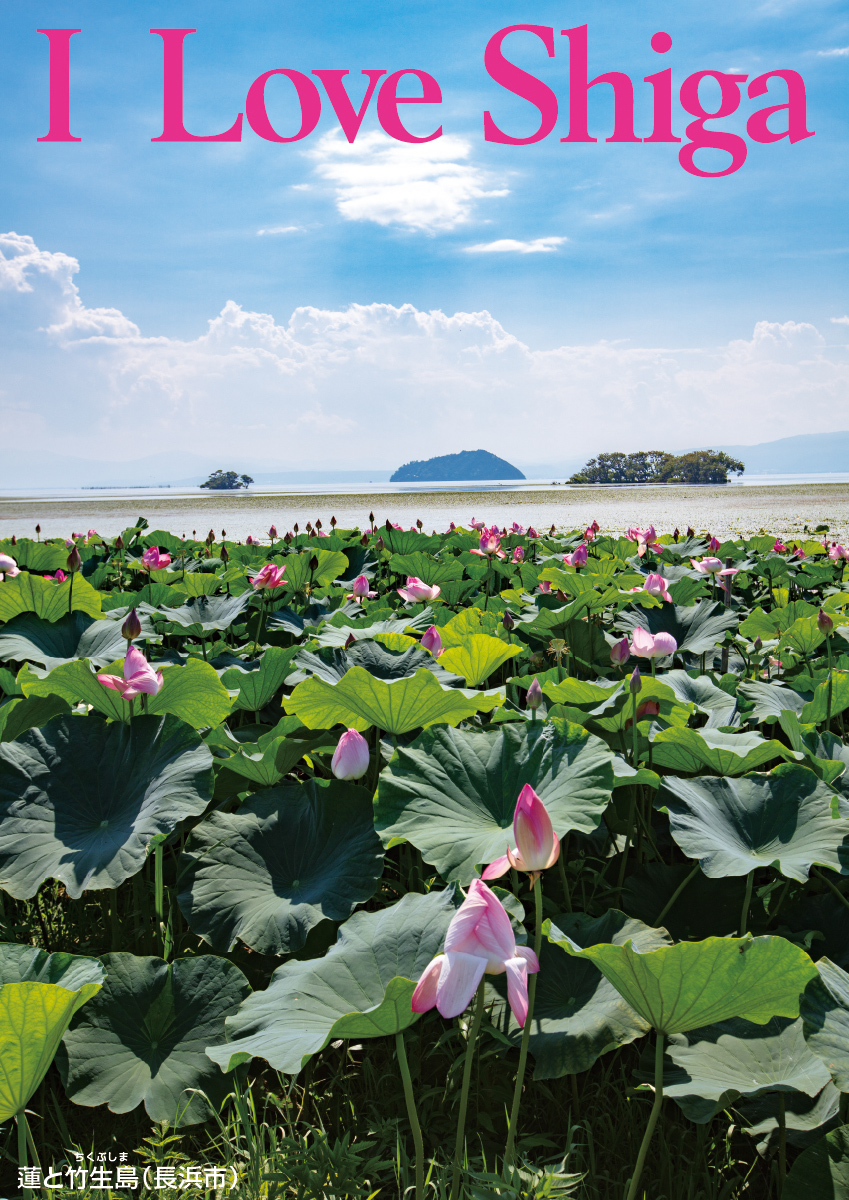 蓮と竹生島（長浜市）