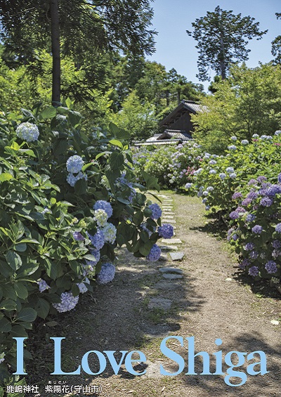 鹿嶋神社　紫陽花（守山市）