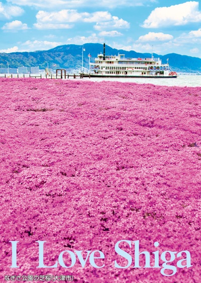 なぎさ公園の芝桜（大津市）