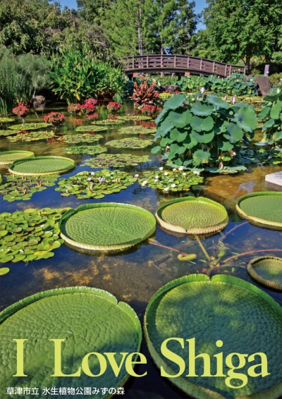 草津市立 水生植物公園みずの森