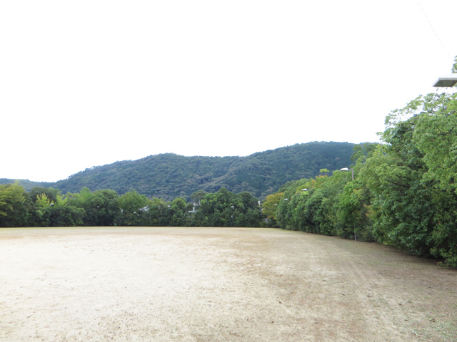 「京銀ふるさとの森」育成状況（2019年9月）写真6