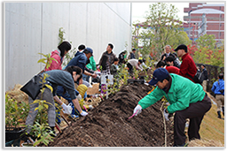 約300本の苗木を植樹写真 