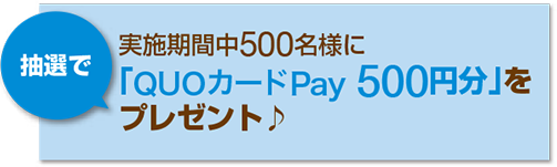 実施期間中500名様に「QUOカードPay 500円分」を抽選でプレゼント♪