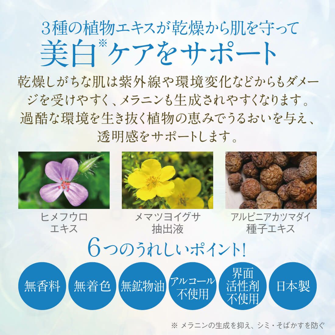 専用ページ バイオアロマ エキナケア ２本