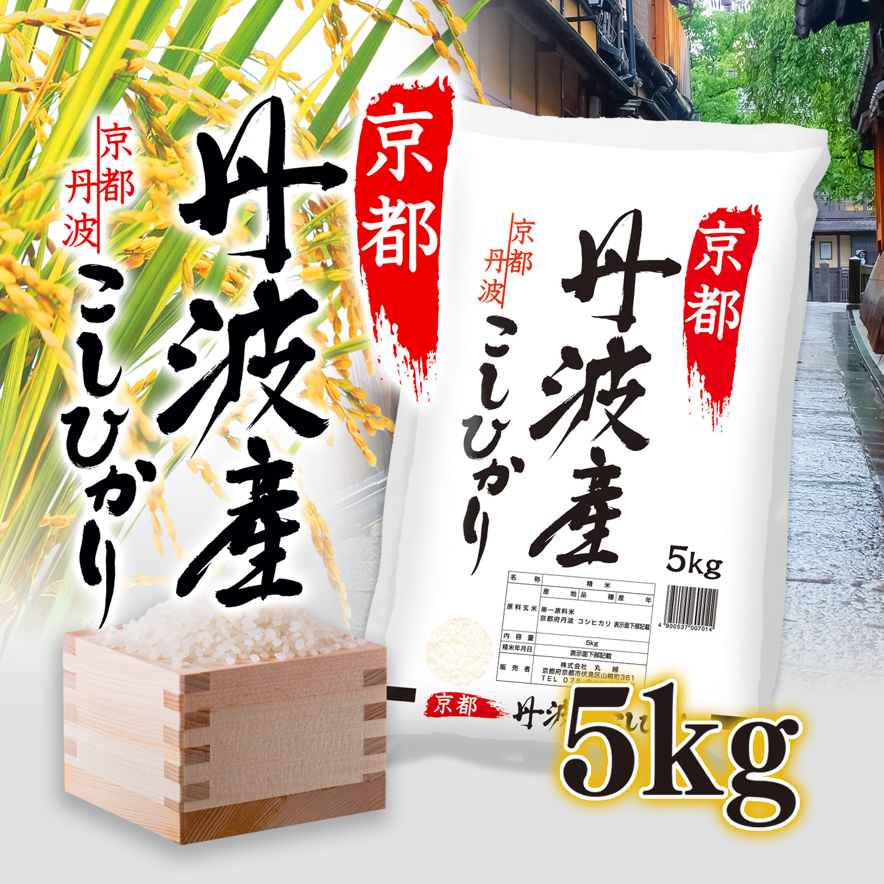 京都丹波産こしひかり　5ｋｇ×1　計5ｋｇ