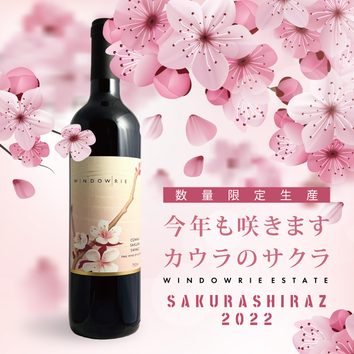 サクラ シラーズ｜SAKURA SHIRAZ