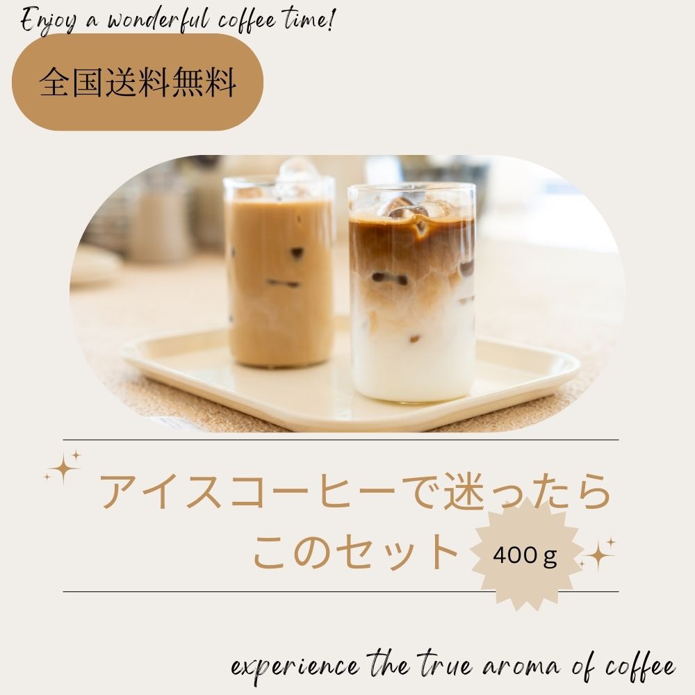 全国送料無料 コーヒー入門編 アイスコーヒーもいろいろあって難しいという方に向けたブレンド２種類セット 合計４００ｇ 豆