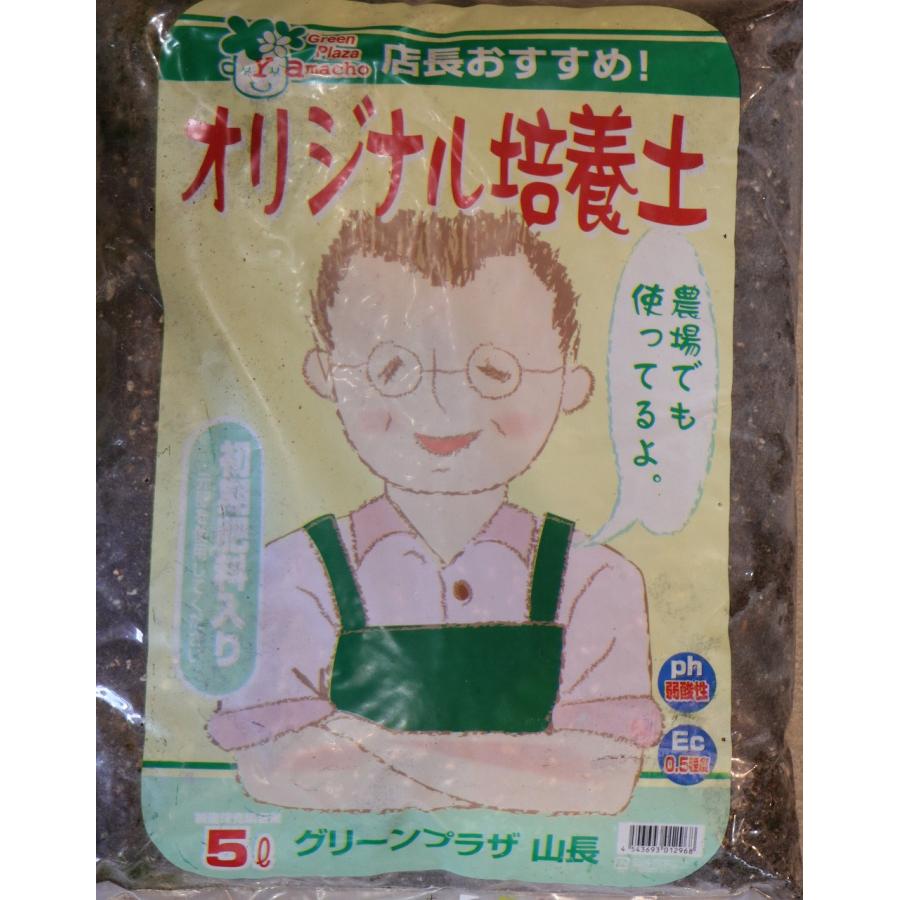 【お試しサイズ】 グリーンプラザ山長　オリジナル培養土(鉢・プランター用)　5リットル 3袋販売 寄せ植え 鉢植え 培養土 用土