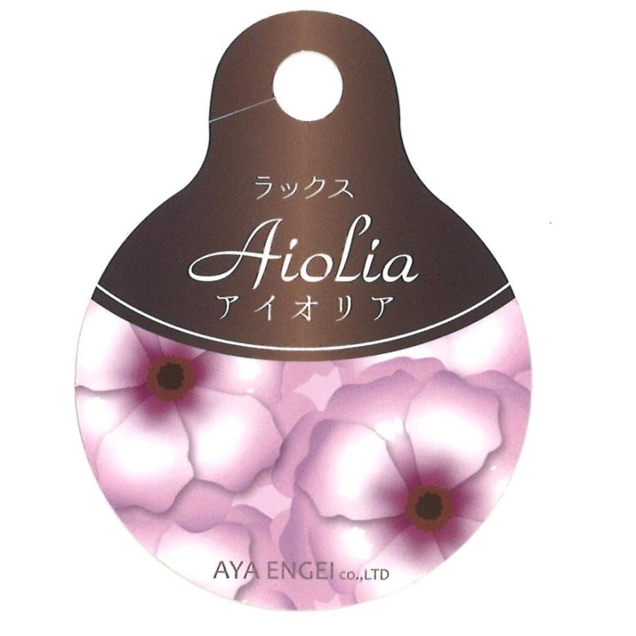 ラナンキュラス ラックス アイオリア 4〜5号ポット苗 【1株販売】 寄せ植え 花壇 鉢植え お洒落 可愛い アンティーク 宿根草 球根 毎年咲く 春の花 冬の花 花 苗 初心者