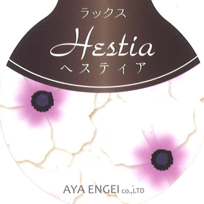 ラナンキュラス ラックス ヘスティア  4〜5号ポット苗 【1株販売】 寄せ植え 花壇 鉢植え お洒落 可愛い アンティーク 宿根草 球根 毎年咲く 春の花 冬の花 花 苗 初心者