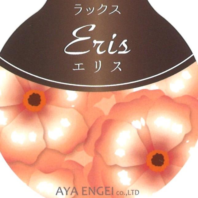 ラナンキュラス ラックス エリス  4〜5号ポット苗 【1株販売】 寄せ植え 花壇 鉢植え お洒落 可愛い アンティーク 宿根草 球根 毎年咲く 春の花 冬の花 花 苗 初心者