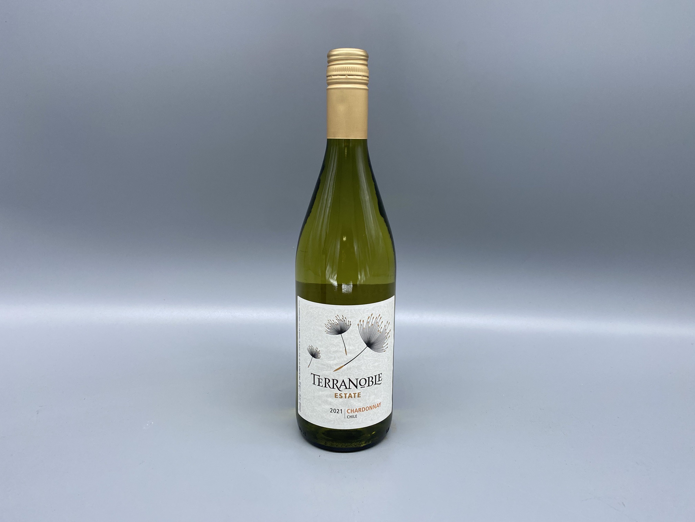 白ワイン　チリ　テラノブレ　シャルドネ　2021年　750ml　13度