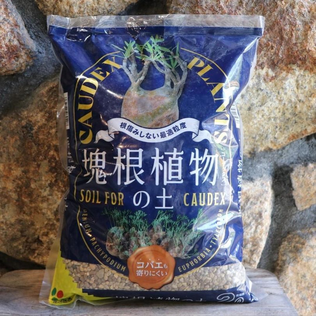 花ごころ 塊根植物の土 2リットル 【1袋販売】 専用培養土 培養土 土 塊根植物 塊茎植物 コーデックス アデニウム ユーフォルビア 鉢植え インテリアグリーン インテリア