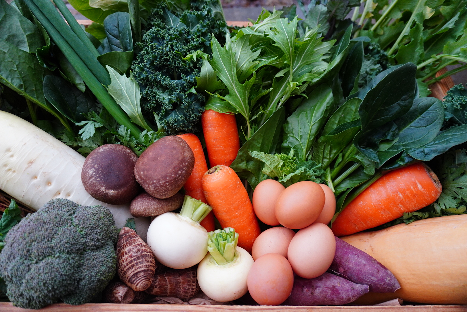 丹後の豊かな自然の恵みと愛情込めて育てられた野菜・卵セット