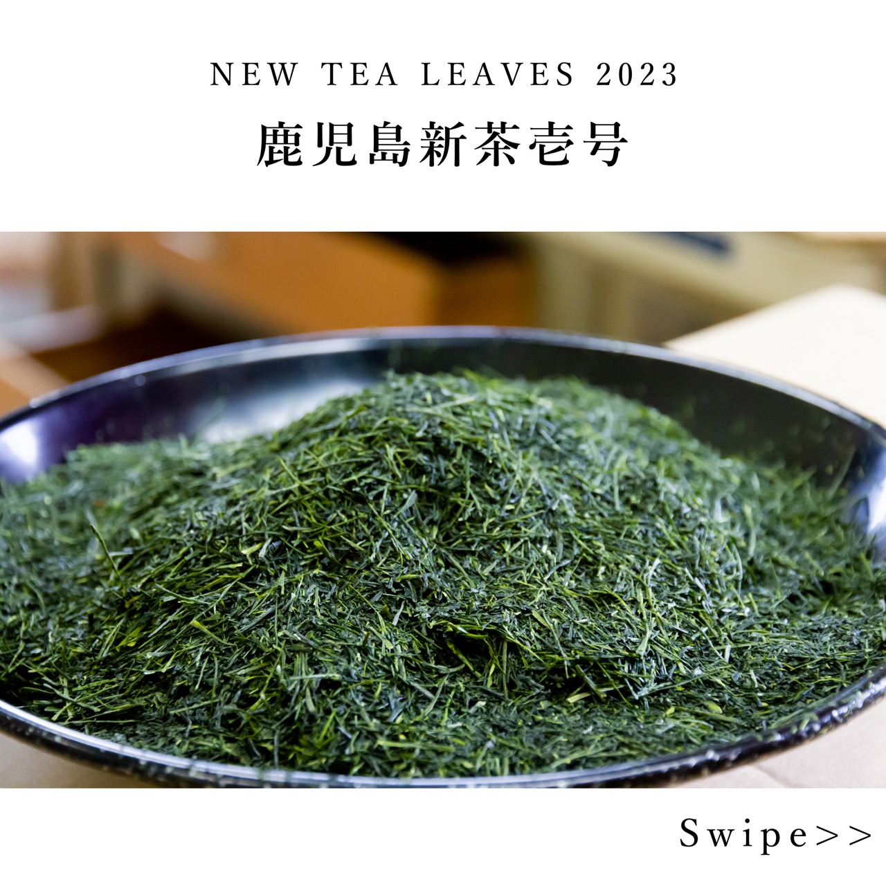 【2023年度新茶】大走新茶（鹿児島壱号）