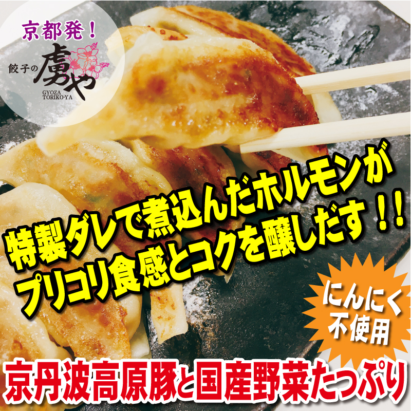 【 京都 餃子 】ホルモン餃子（60個入）送料無料（一部地域除く）