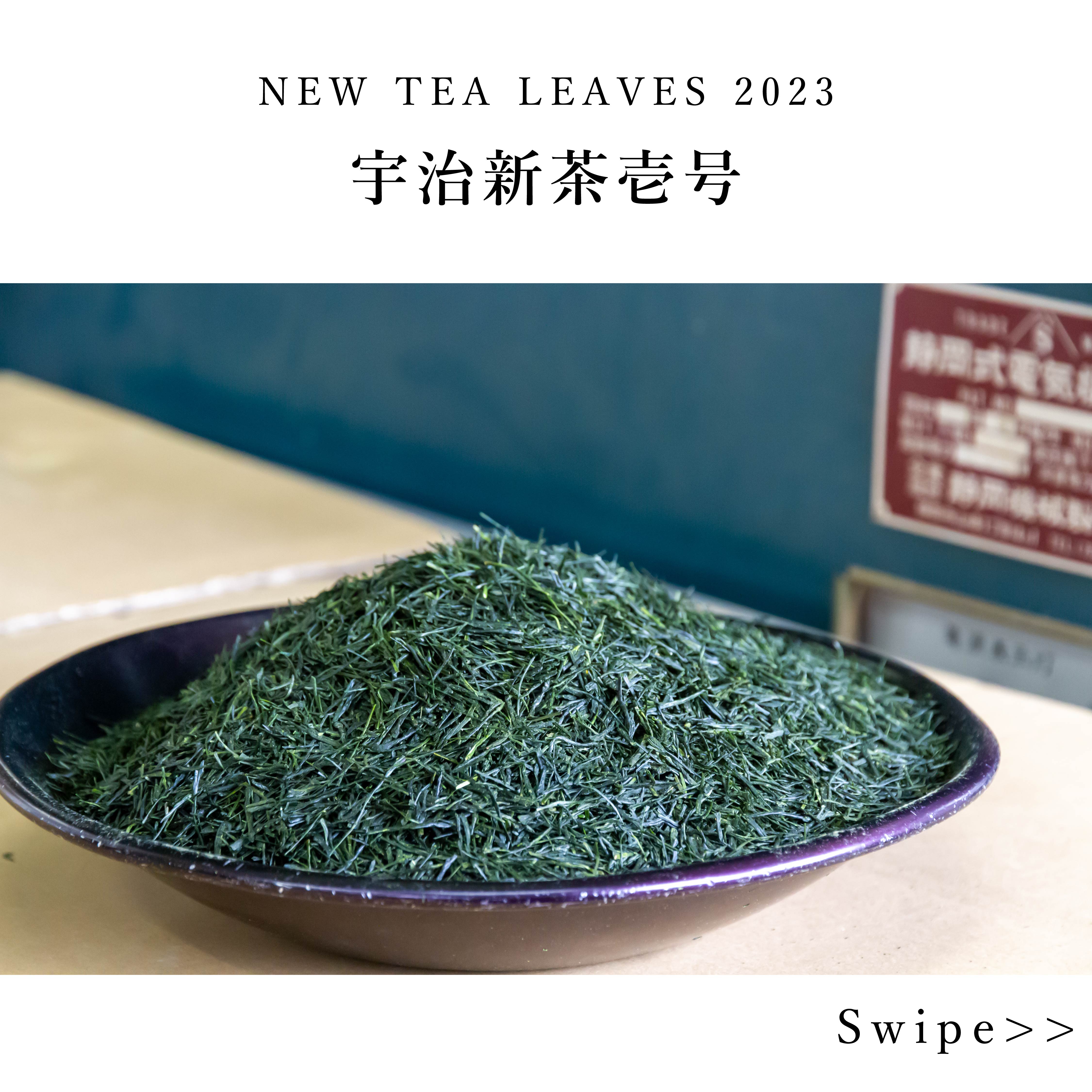 【2023年度新茶】宇治和束新茶（宇治新茶壱号）