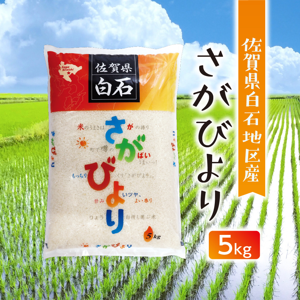 佐賀県白石地区限定さがびより　5kg