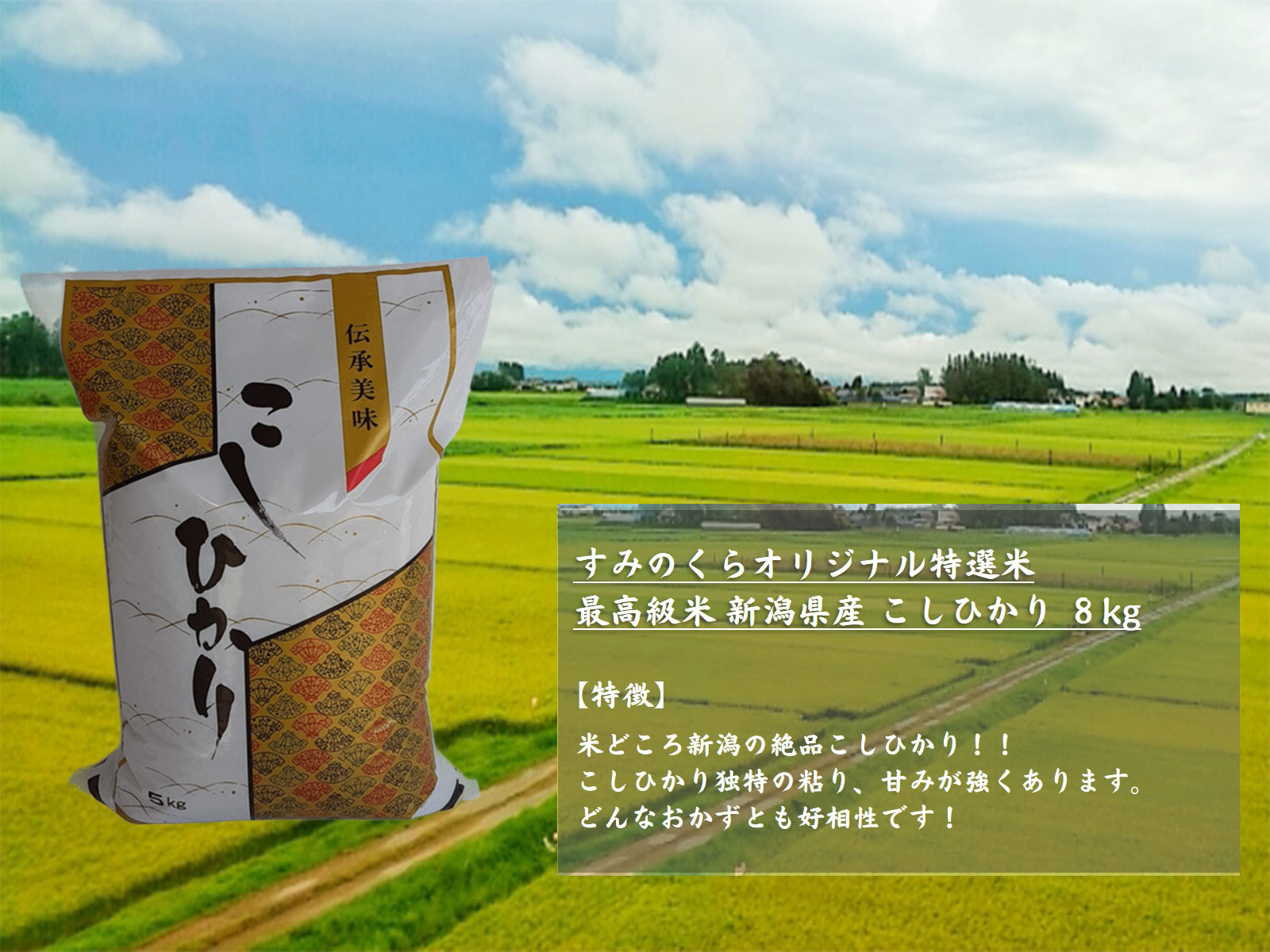 【すみのくらオリジナル特撰米】最高級米　新潟県産　こしひかり  ８kg（4Kg×2袋）　送料無料（一部地域除く）