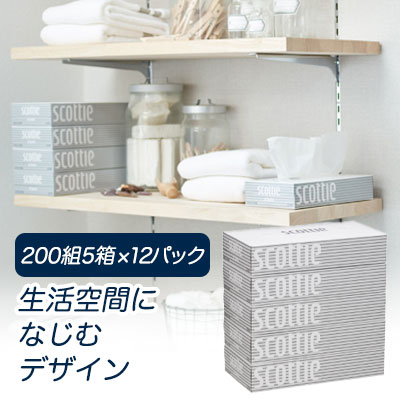 スコッティ ティッシュペーパー 400枚 (200組) 5箱×12パック scottie 00115