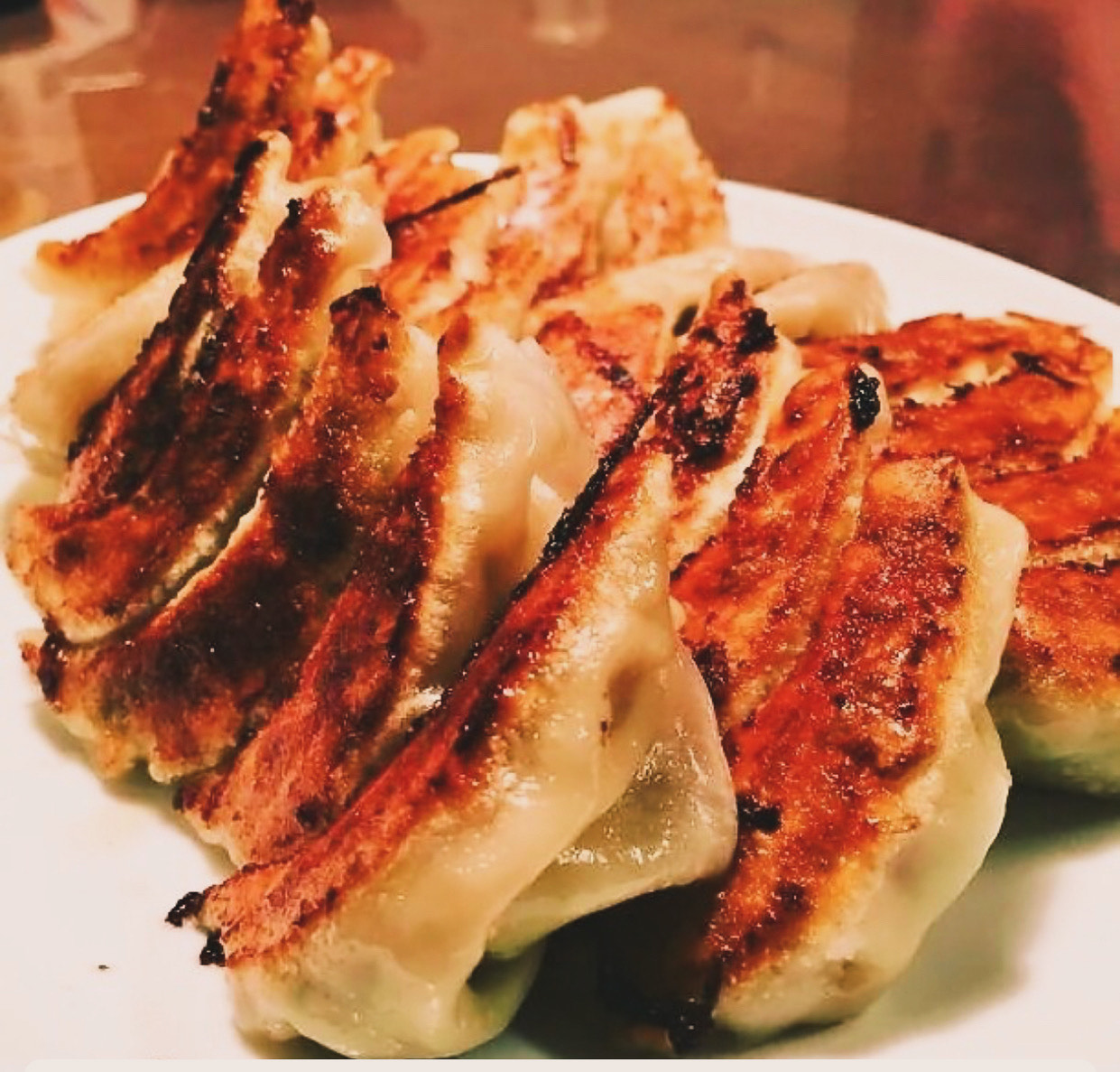 レギュラー餃子50個(冷凍)