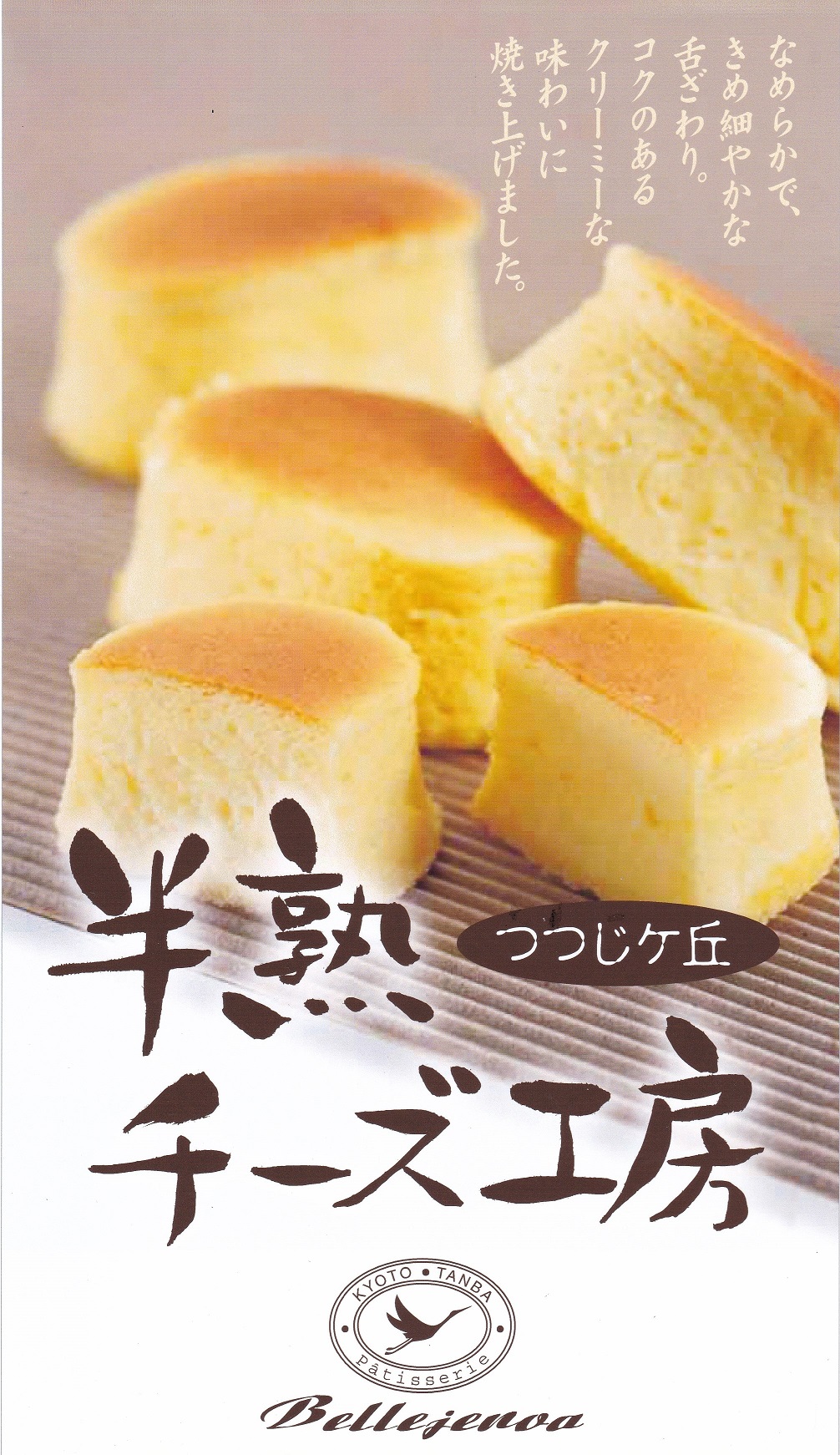 濃厚 半熟 チーズケーキ 10個入