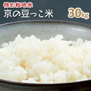 特別栽培米 京の豆っこ米 コシヒカリ玄米30kg「令和4年産」