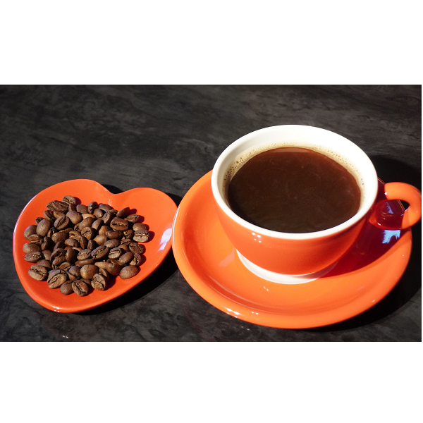 【自家焙煎コーヒー豆】ブラジル　イパネマ　プラム 100g【送料無料】