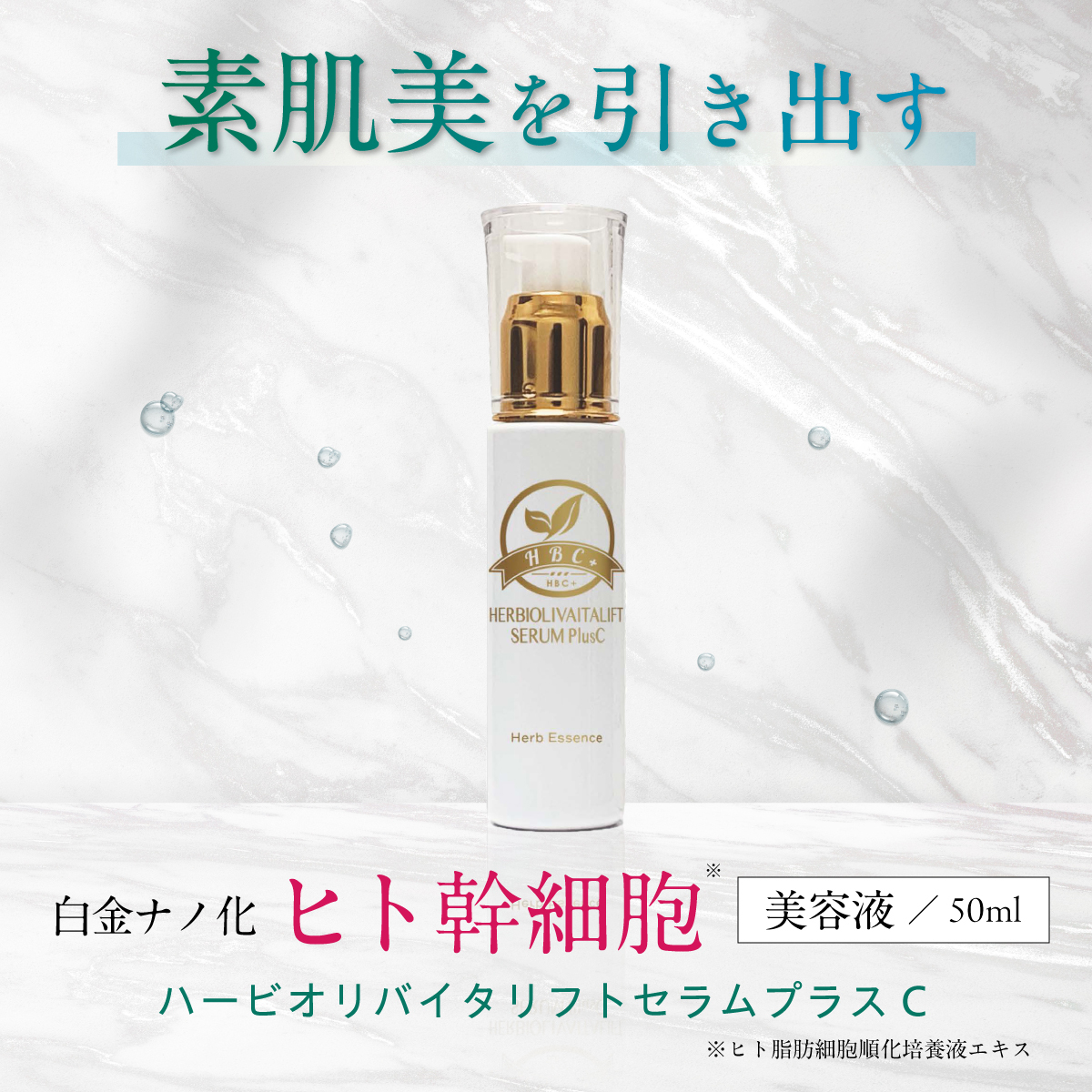 胞子培養 ホワイトギズモ あまったるく ナノ 