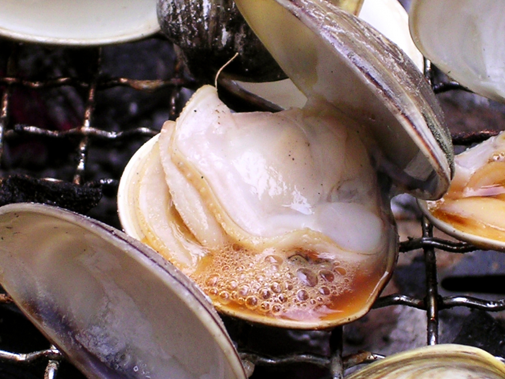 蓄養活はまぐり　2kg（40〜50個前後）