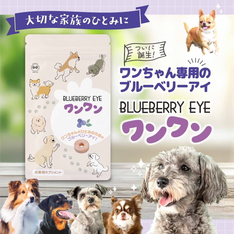 【わかさ生活】ブルーベリーアイ ワンワン（送料無料）