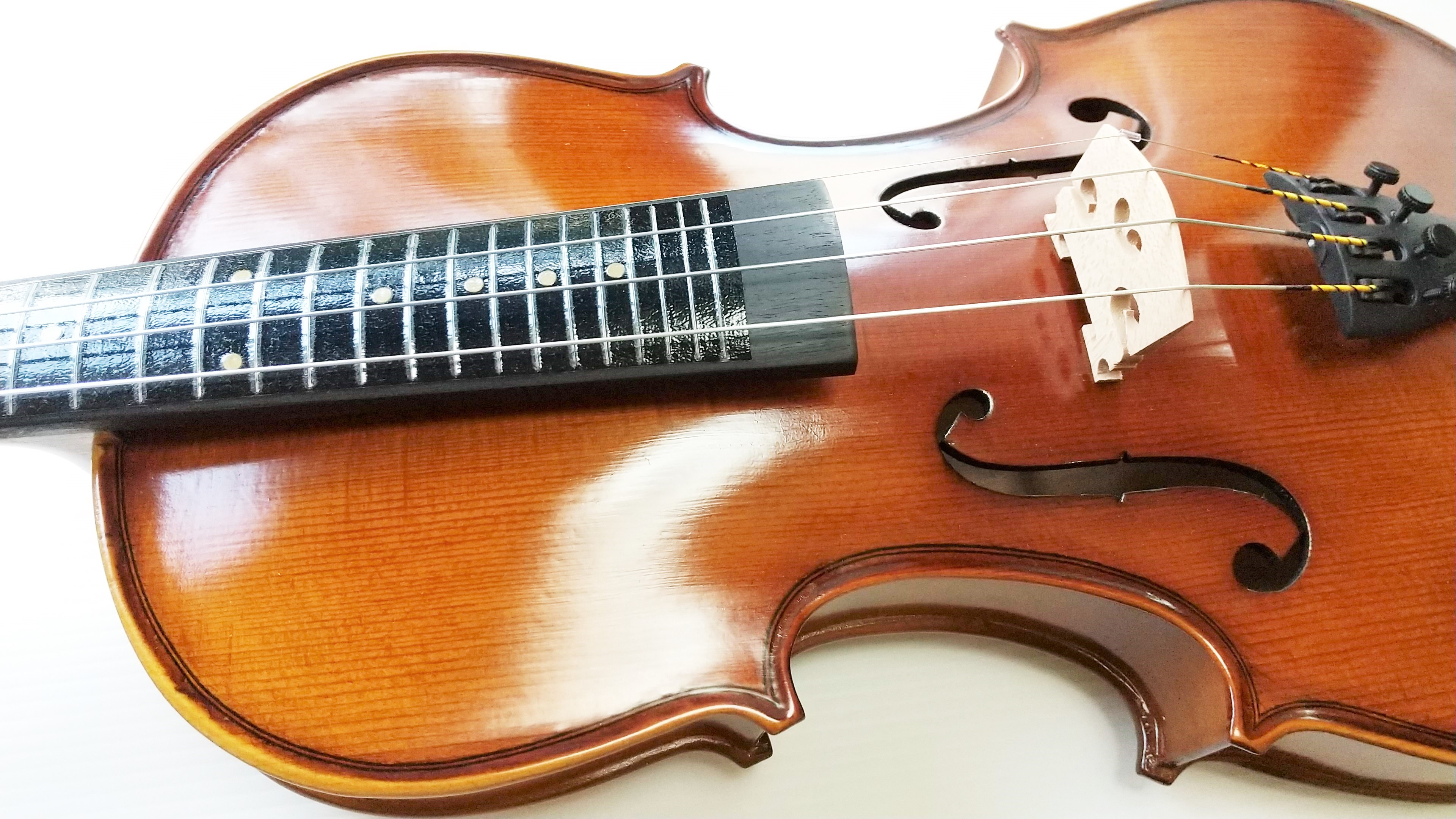 Pretorio 初めてでも簡単に弾ける フレット付きバイオリン セット PV-200F 4/4サイズ (ポジションマークあり)